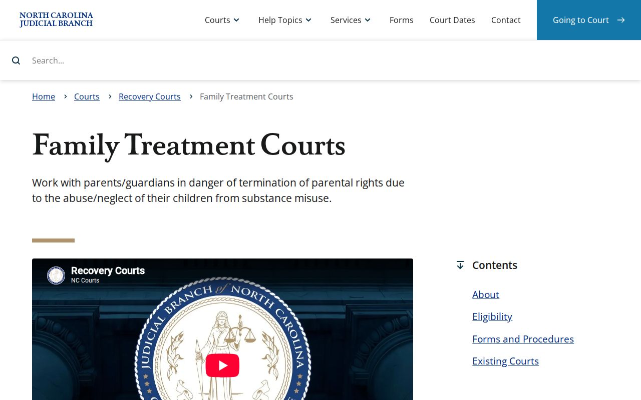 Martin criminal docket Family Treatment Court program information