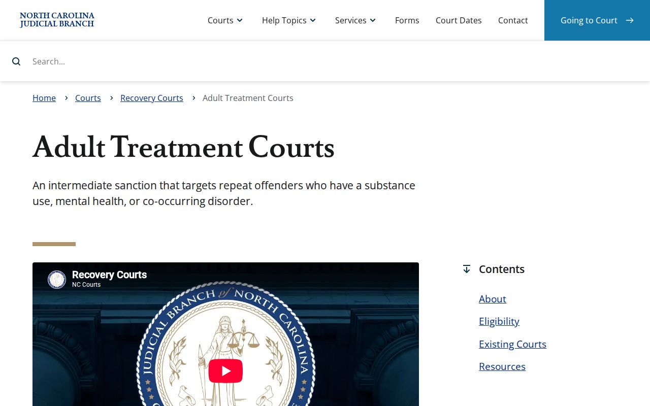 Martin criminal docket Adult Treatment Court program information