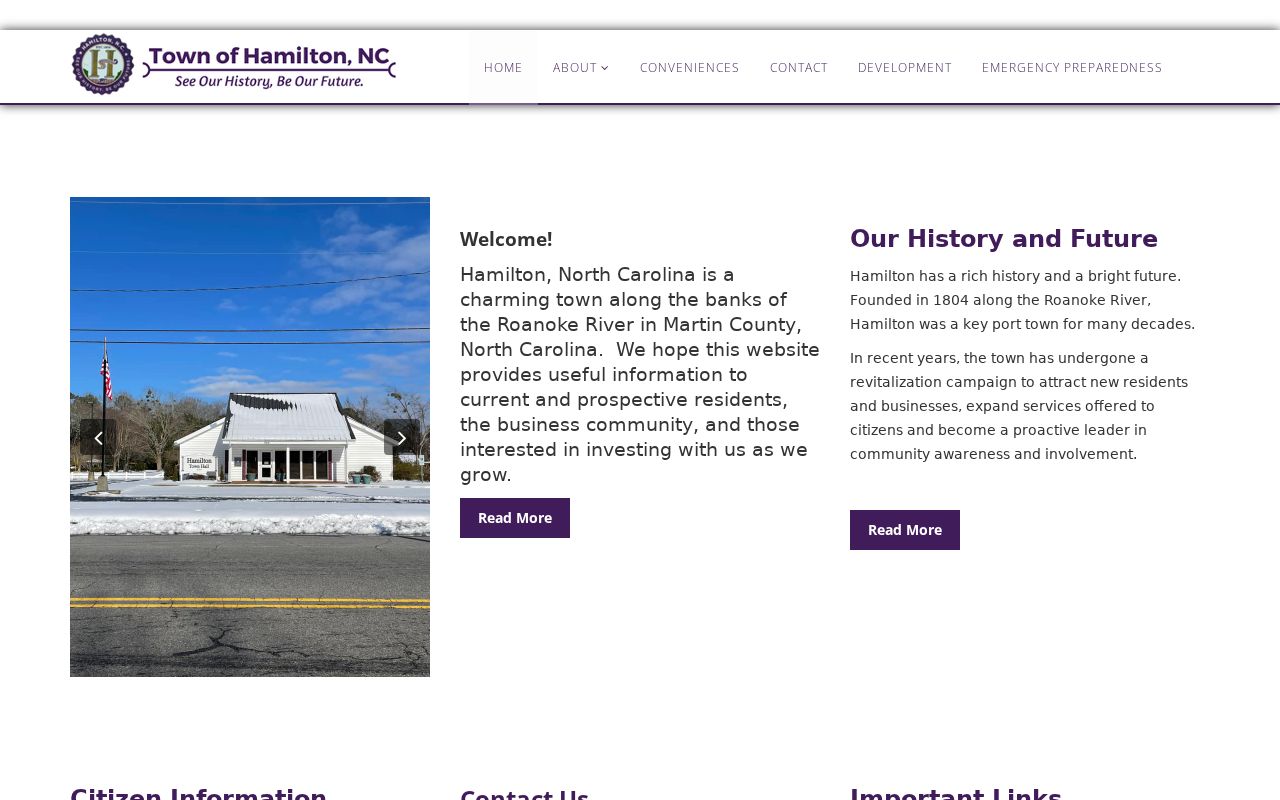Hamilton court records official town history source image